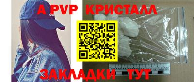 jwh Кингисепп