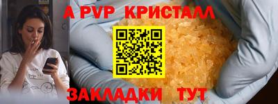 jwh Кингисепп