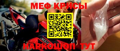 jwh Кингисепп