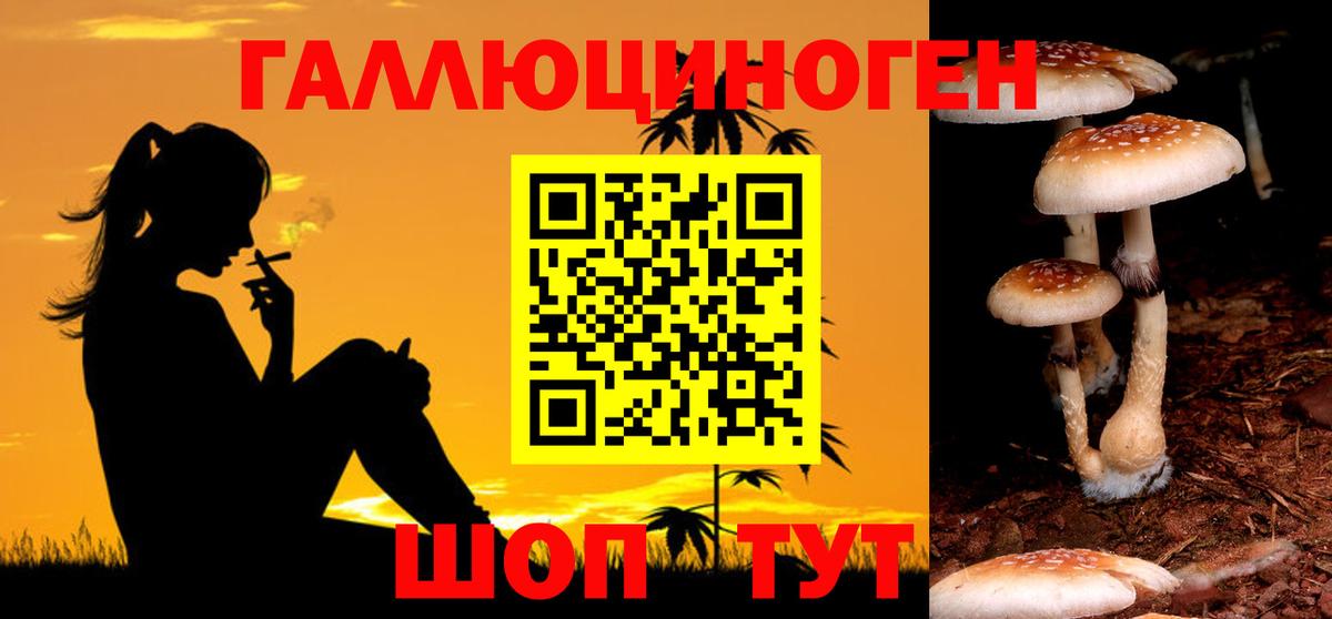 Псилоцибиновые грибы прущие грибы  Вход с VPN  наркотики  Зеленогорск 